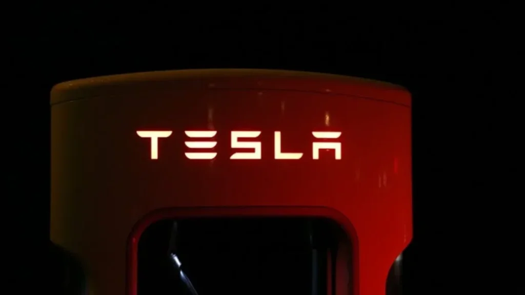 Tesla's Entry in India 2024: Electric Dreams & Market Redefined with RHD Car Production
